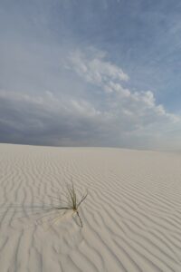 Księga Hioba. O cierpieniu niezawinionym