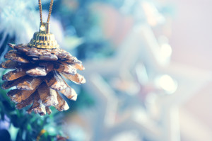 Not So Merry Christmas