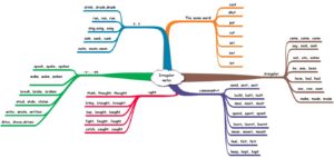My hobby: present perfect (Today Unit 4)