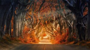 Scary, Scary… Questions! Halloween & Grammar