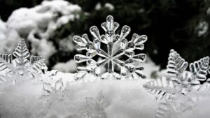 Winter is Fun!