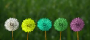 Mindful March